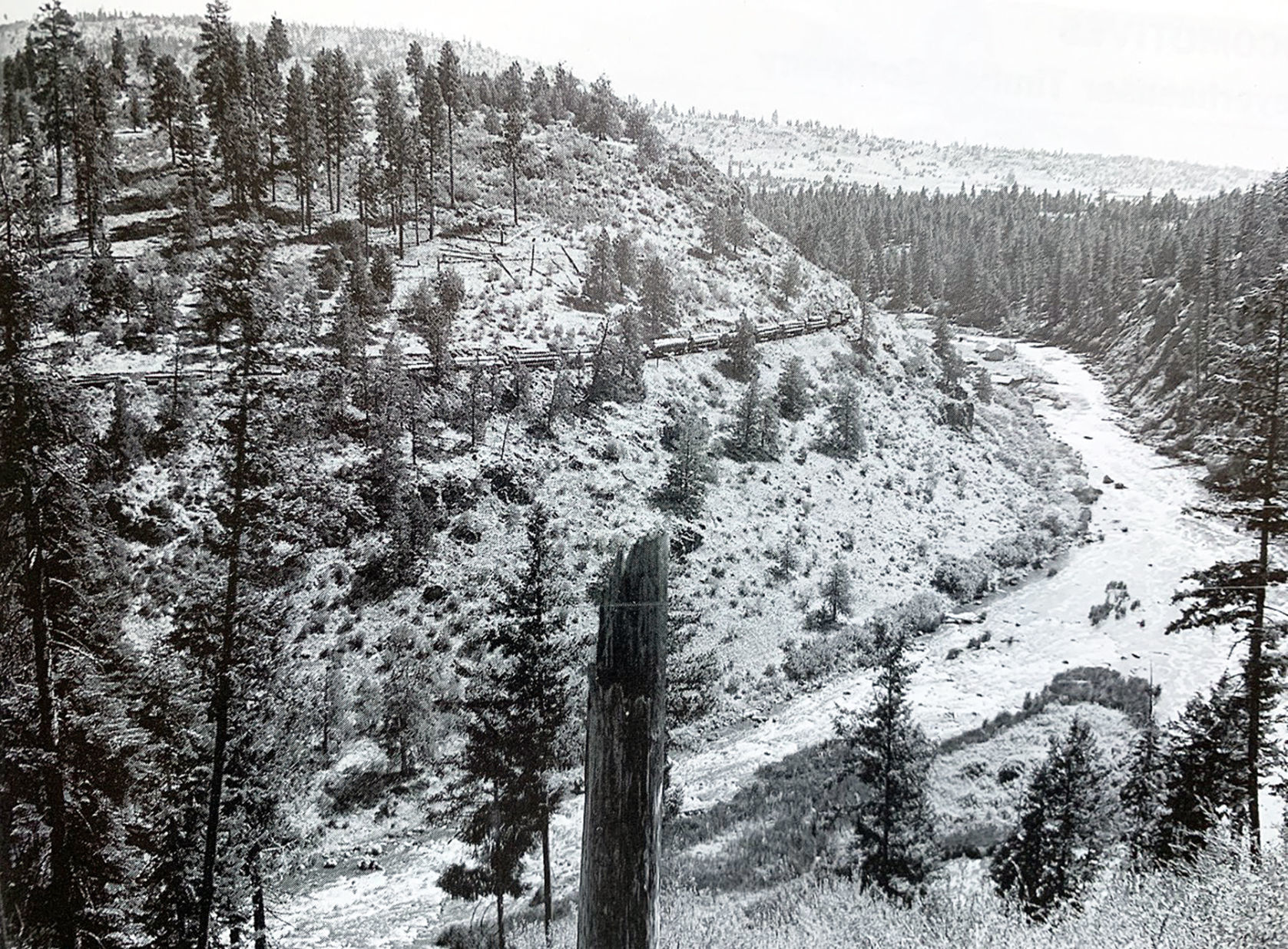 Klamath log train 1943
